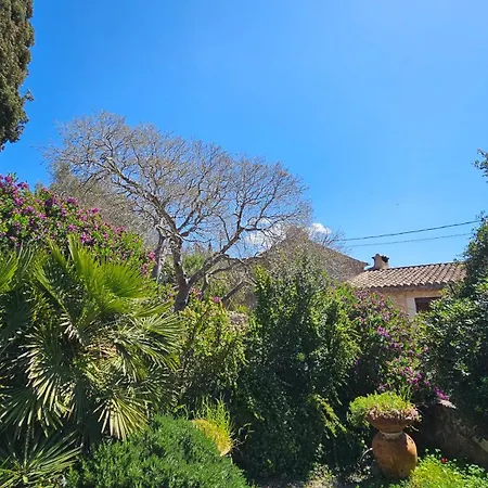 Hotel Asís De Marratxinet