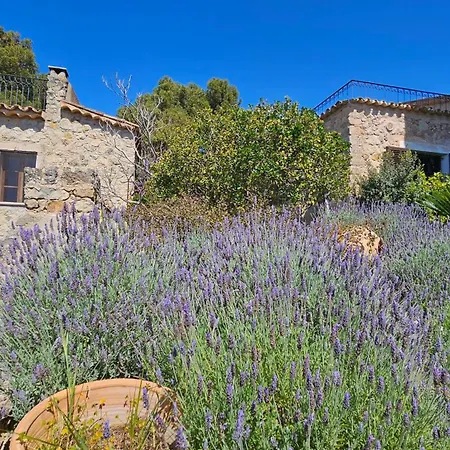 Asis De Marratxinet Turismo De Interior 3* Marratxí